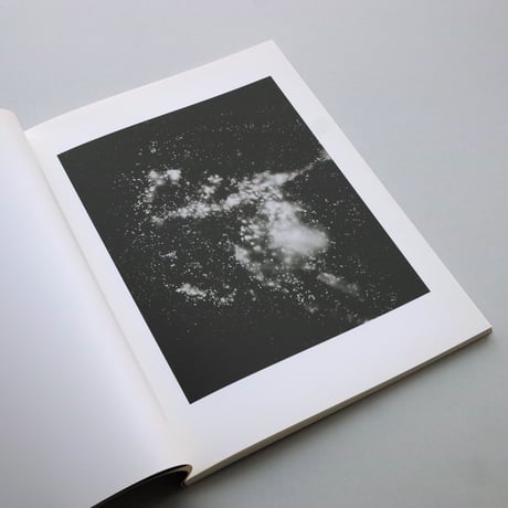 Taiyo Onorato, Niko Krebs / Light of Other Days