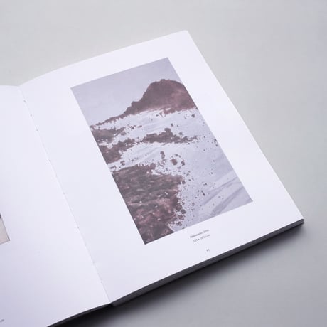 Luc Tuymans / La Pelle