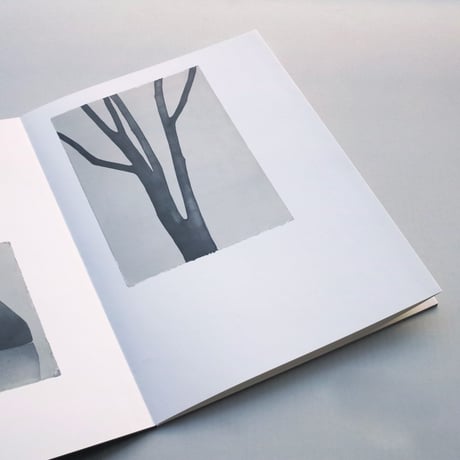 Mats Gustafson / Trees and rocks