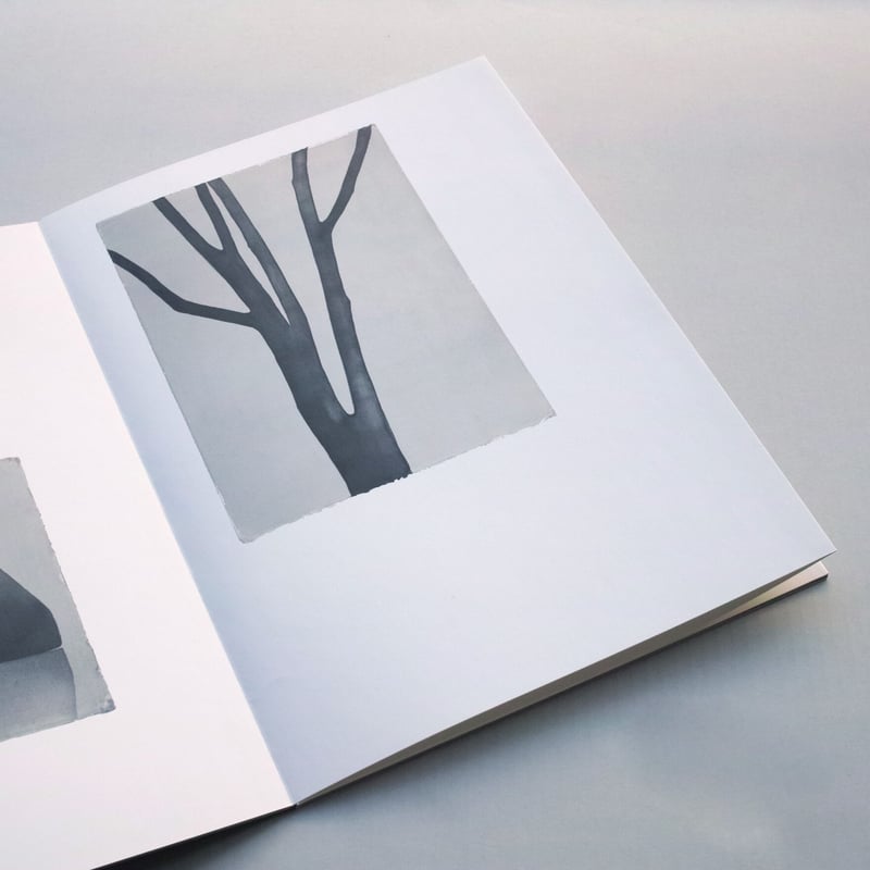 Mats Gustafson / Trees and rocks | POST Mats Gustafson / Trees and rocks | POST