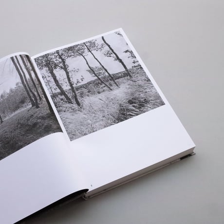 Mimi von Moos / DIE VERWANDTE. AUS DEM FOTOGRAFISCHEN NACHLASS DER ANNE-MARIE VON WOLFF