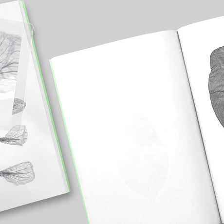 Jamie Yeo / Plant Scans