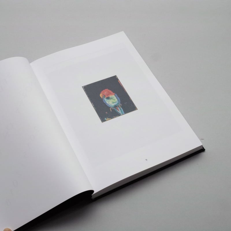 Harold Ancart 「Soft Places(II)」ハロルドアンカート Harold Ancart / Soft Places (II) | POST