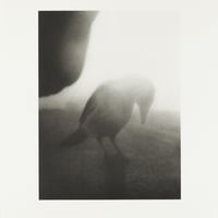 Stephen Gill / The Pillar - Collotype 2 - Edition 30