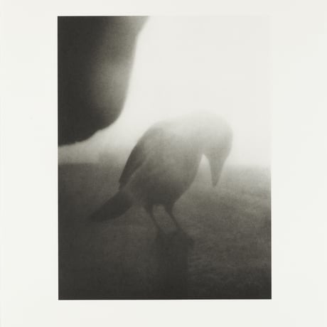 Stephen Gill / The Pillar - Collotype 2 - Edition 30