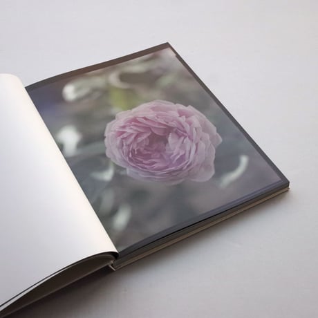 Judith Jockel / You Breathe from a Garden in Your Neck