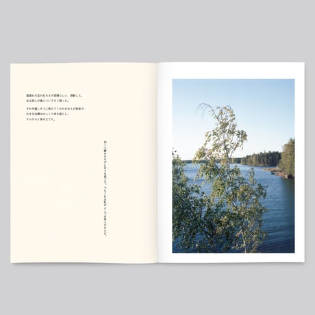 群れた島々と キノコたち / Islands, Islets, and Their Mushrooms