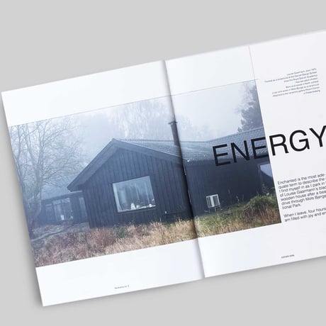 Håndvaerk 09 - Interiors
