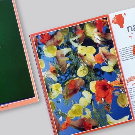 Pleasant Place 2: Nasturtiums (Tropaeolum Majus)