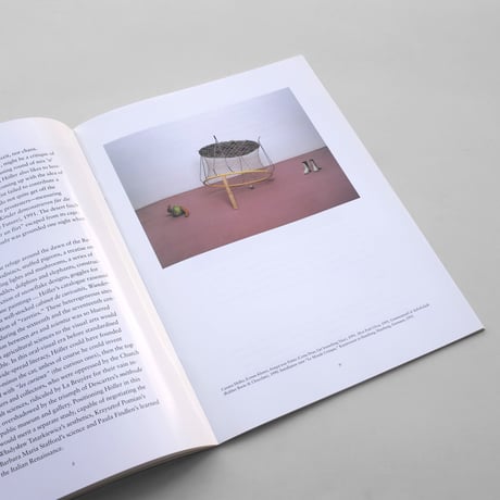 Carsten Holler / Logic