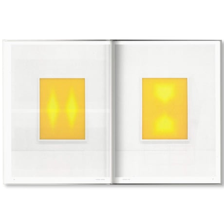 Carsten Nicolai / Parallax Symmetry