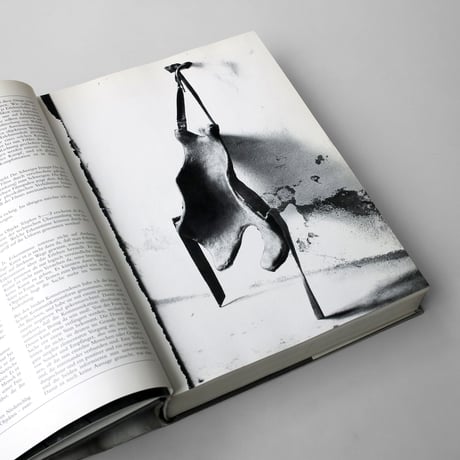 Joseph Beuys / Die Multiples 1965-1986