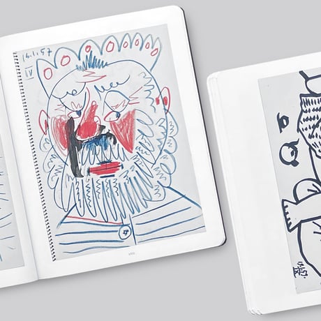 Pablo Picasso / Picasso 14 Sketchbooks