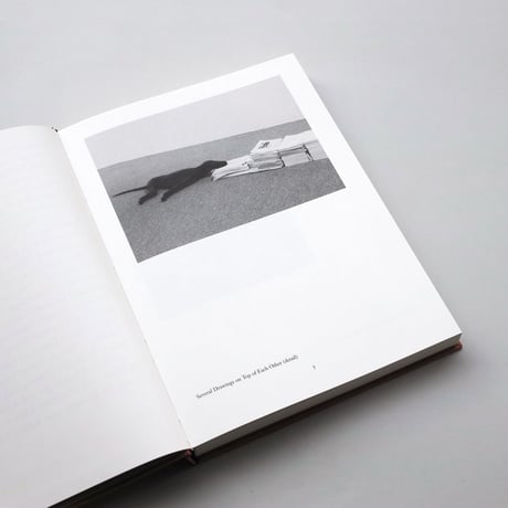 Mark Manders / Several Drawings on Top of Each Other