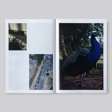Parklife 3
