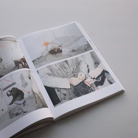 Alina Schmuch / Script of Demolition