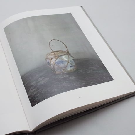 Joel Meyerowitz / Cézanne’s Objects