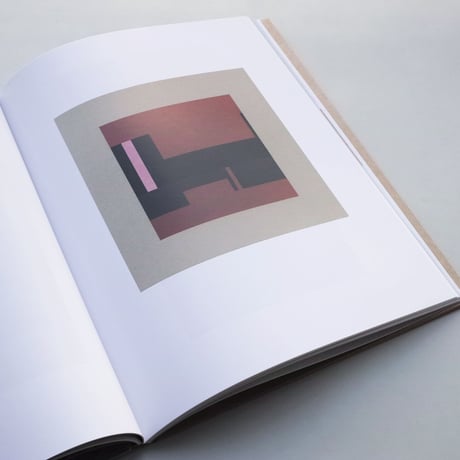 Hélio Oiticica