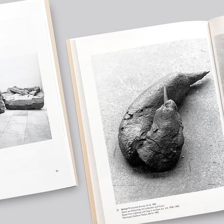 Joseph Beuys / Blitzschlag mit Lichtschein auf Hirsch