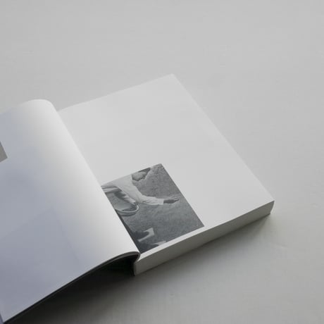 Ruth Van Beek / How To Do The Flowers