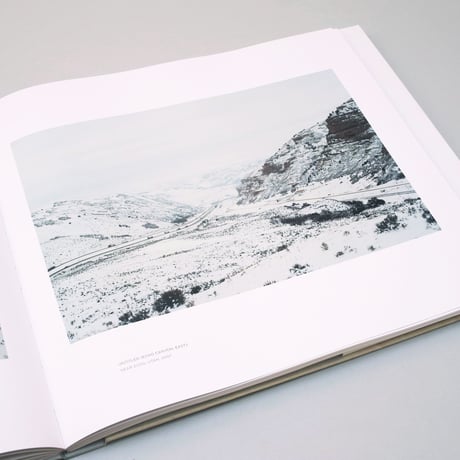 Victoria Sambunaris / TAXONOMY OF A LANDSCAPE