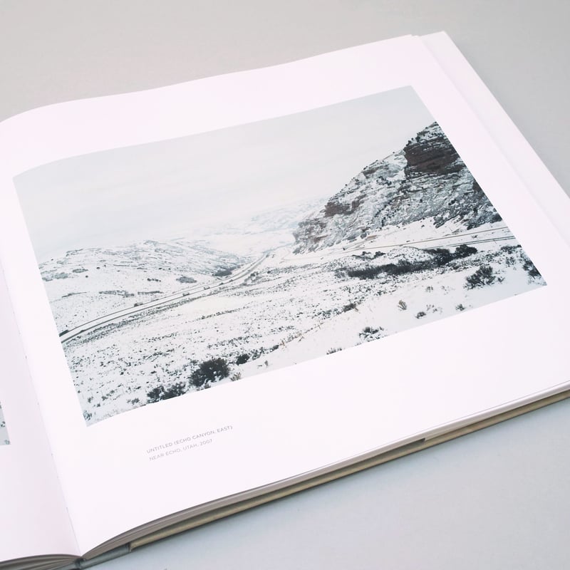 Victoria Sambunaris / TAXONOMY OF A LANDSCAPE |