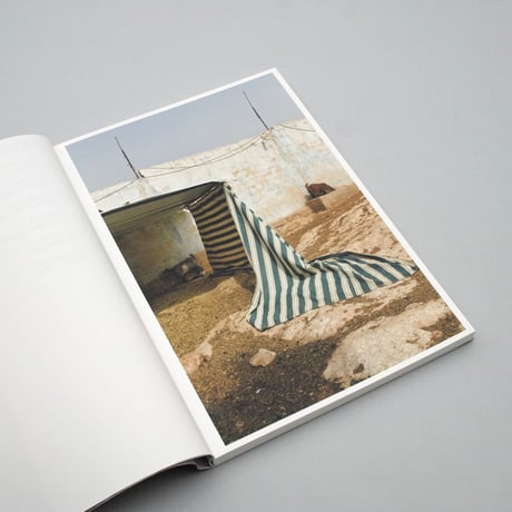 Lynn Alleva Lilley / Tender Mint