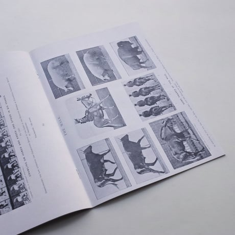 Nicolò Degiorgis / The Long 19th Century Digested Vol. I