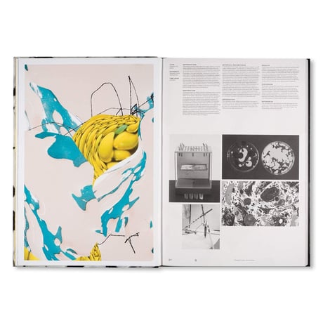 Space for Visual Research 2