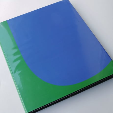 Ellsworth Kelly / Red Green Blue