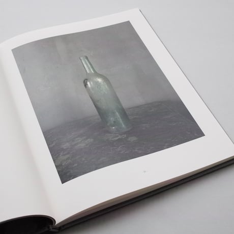 Joel Meyerowitz / Cézanne’s Objects