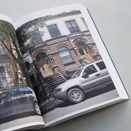Stanley Greenberg / Springs and Wells, Manhattan and the Bronx