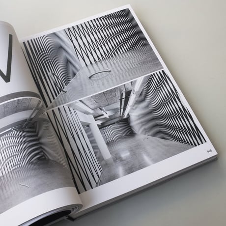 Philippe Decrauzat / Delay