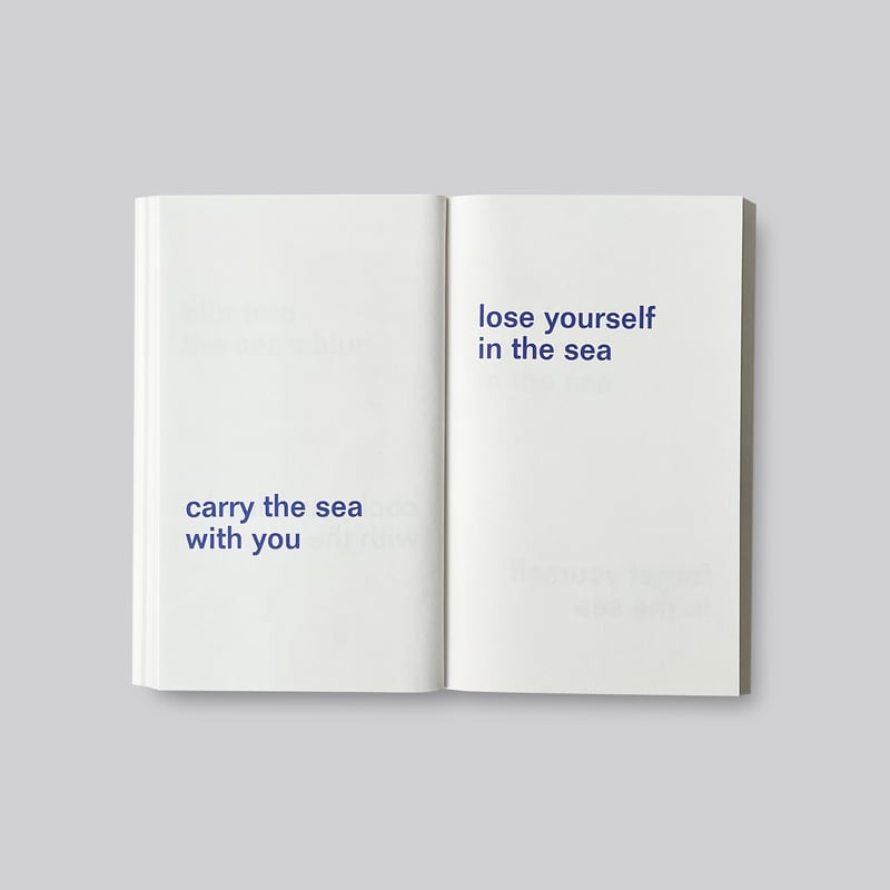 Signed】David Horvitz / Adjust the level of the