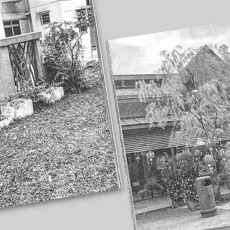Forming Cityscapes #8 Plants