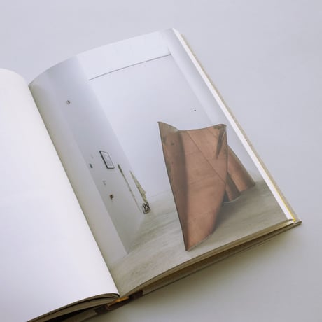 Danh Vo / Wad al-hayara