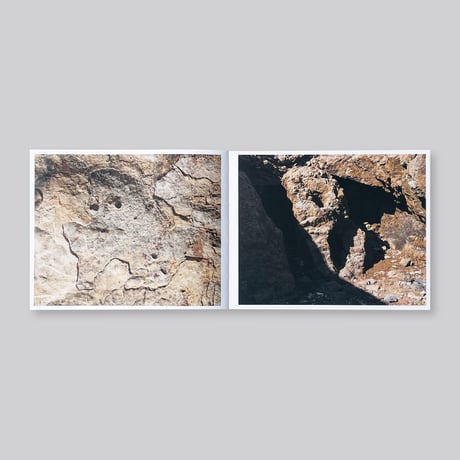 Adam Thorman / Creatures Found