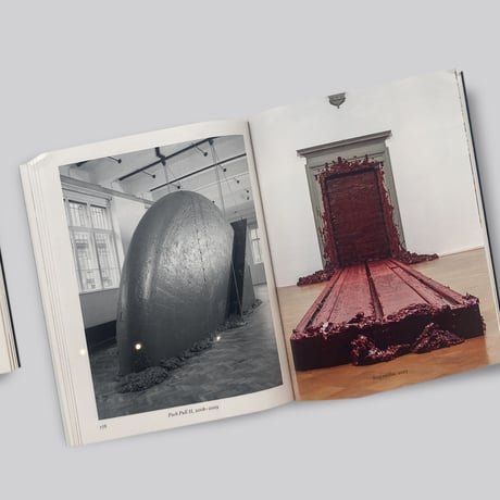 Anish Kapoor / Untrue Unreal