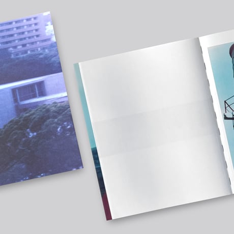 Takashi Homma / THE NARCISSISTIC CITY