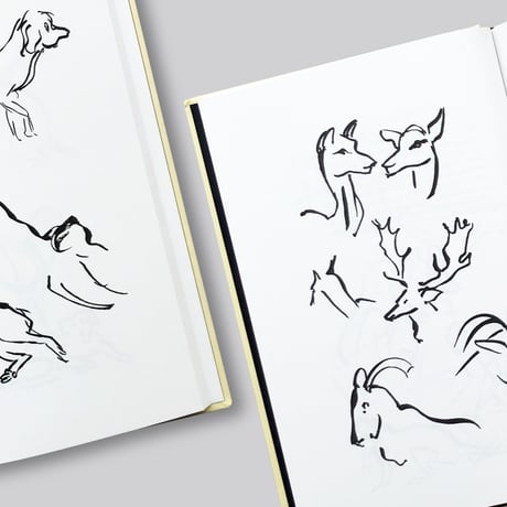 Alexander Calder / Animal Sketching