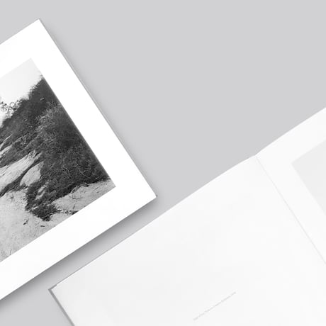 Robert Adams / Los Angeles Spring