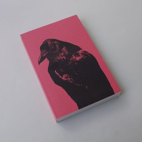 Jaap Scheeren / Flipping the Bird (English version)
