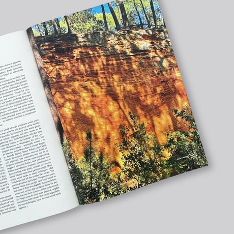 See All This 24: Colour Fields, Curated By Claudy Jongstra
