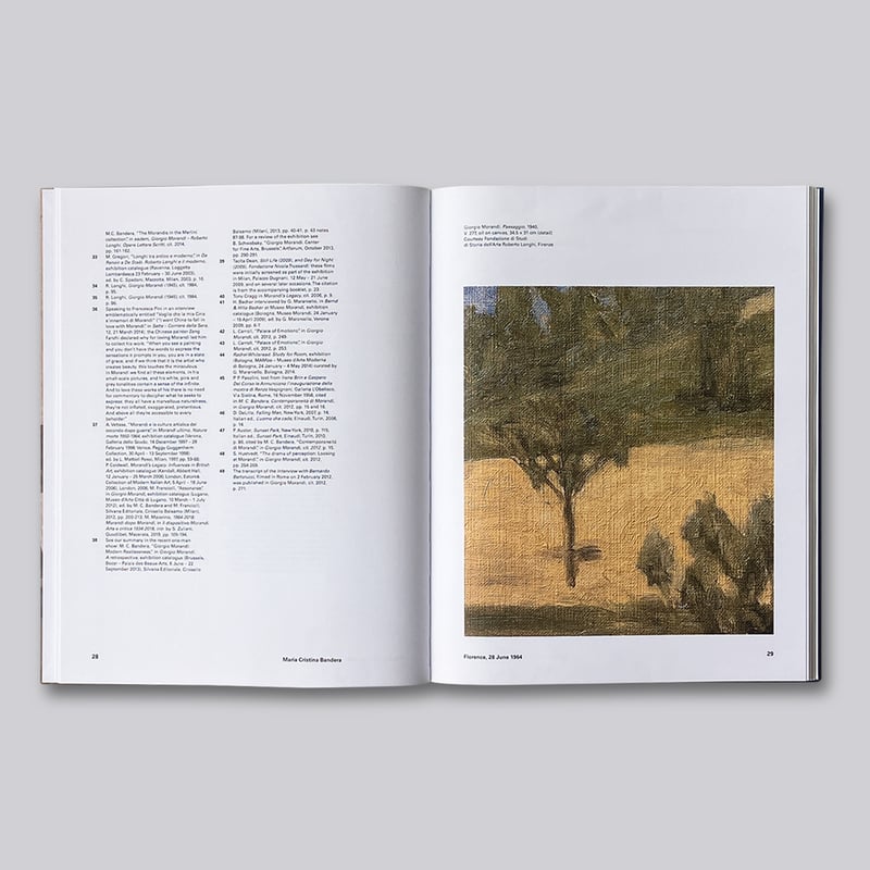 GIORGIO MORANDI、PAESAGGIO、海外版、超希少レゾネ GIORGIO MORANDI、PAESAGGIO、海外版、超希少レゾネ 美術品