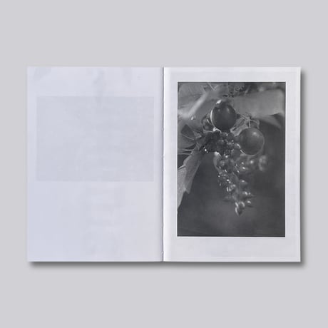 Jochen Lempert / Local Ecology – Moulin des Ribes
