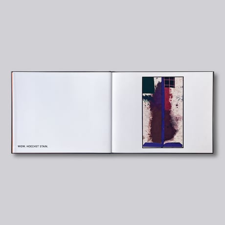 Sterling Ruby / Widw