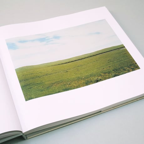 Victoria Sambunaris / TAXONOMY OF A LANDSCAPE