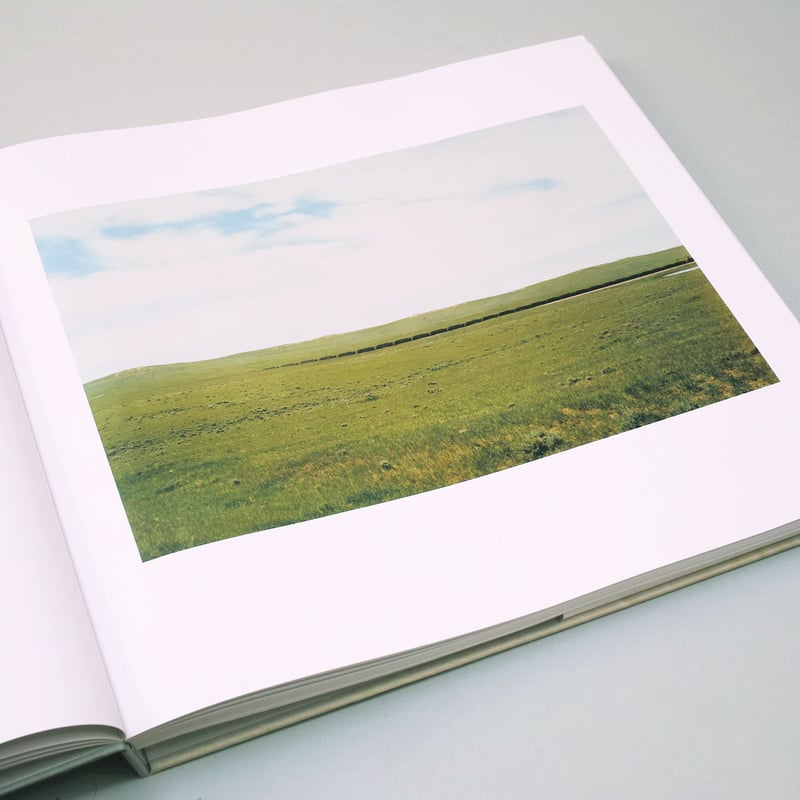 Victoria Sambunaris / TAXONOMY OF A LANDSCAPE |