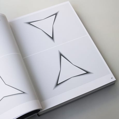 Philippe Decrauzat / Delay