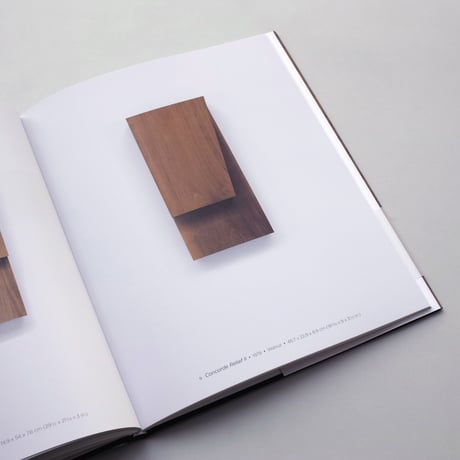 Ellsworth Kelly / Wood Sculpture